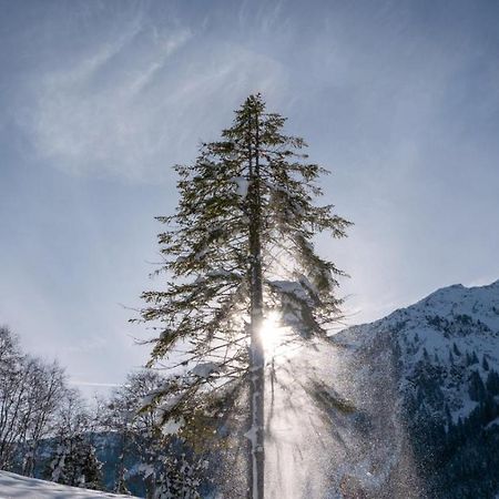 Silber Lodge Im Wiesenstein Auffach Bagian luar foto