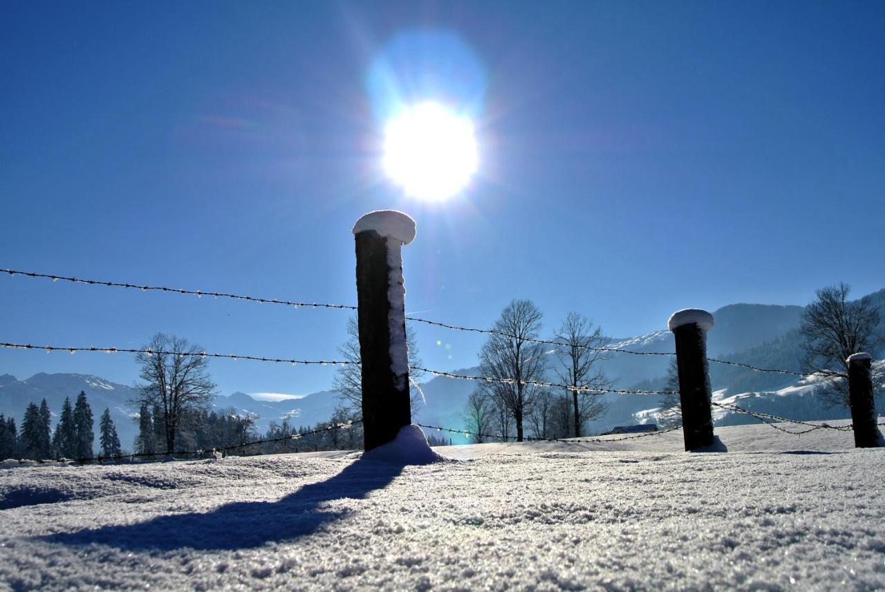 Silber Lodge Im Wiesenstein Auffach Bagian luar foto