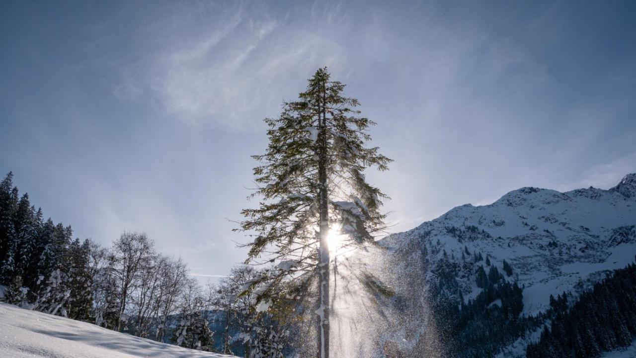 Silber Lodge Im Wiesenstein Auffach Bagian luar foto