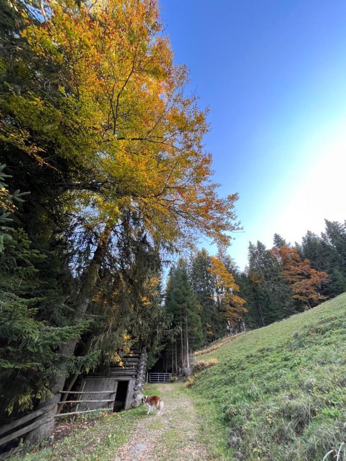 Silber Lodge Im Wiesenstein Auffach Bagian luar foto