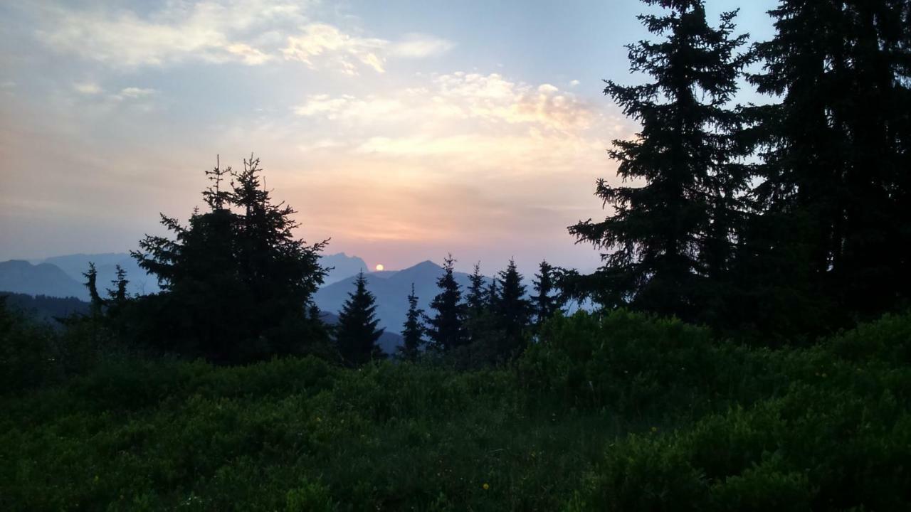 Silber Lodge Im Wiesenstein Auffach Bagian luar foto